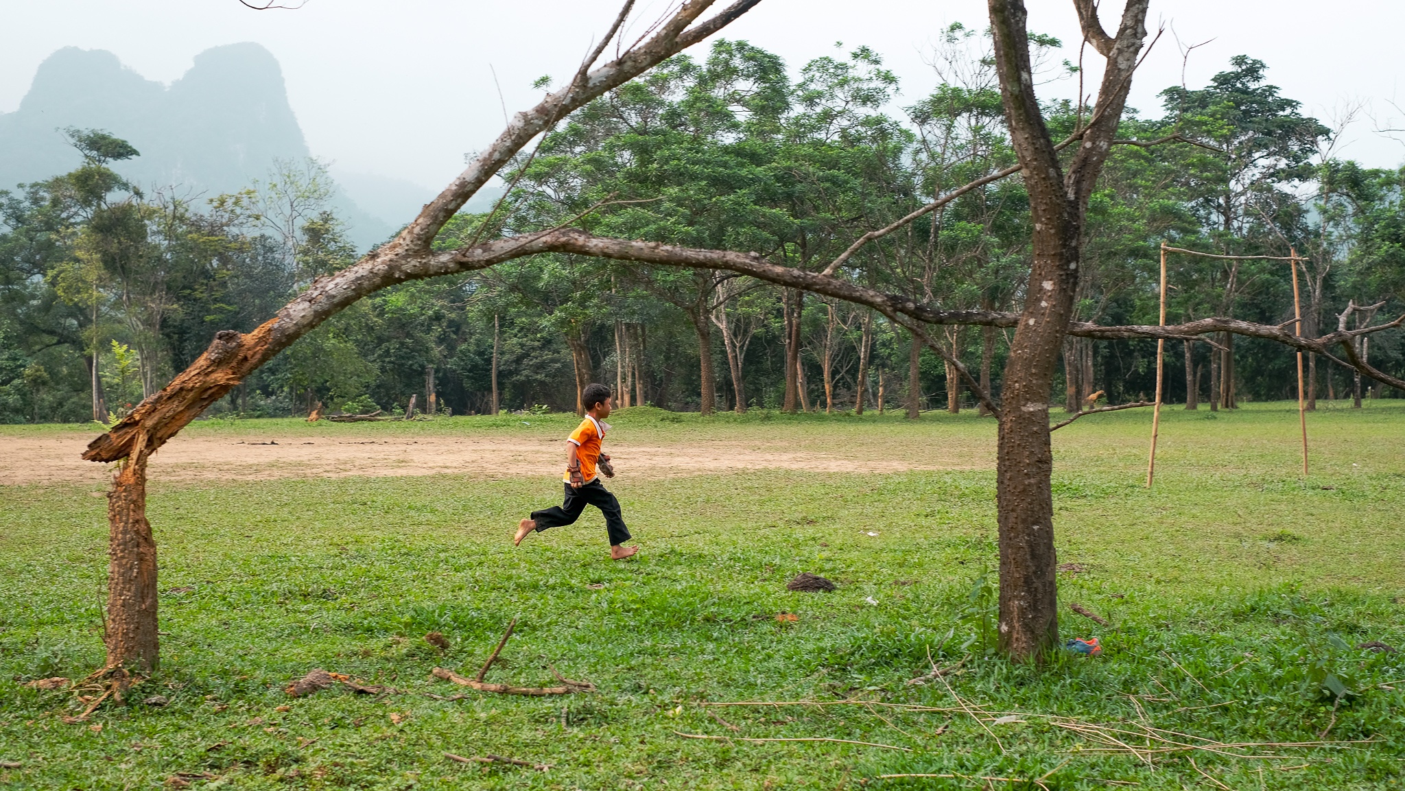 hang chà lòi ảnh 13 hang cha loi anh 13