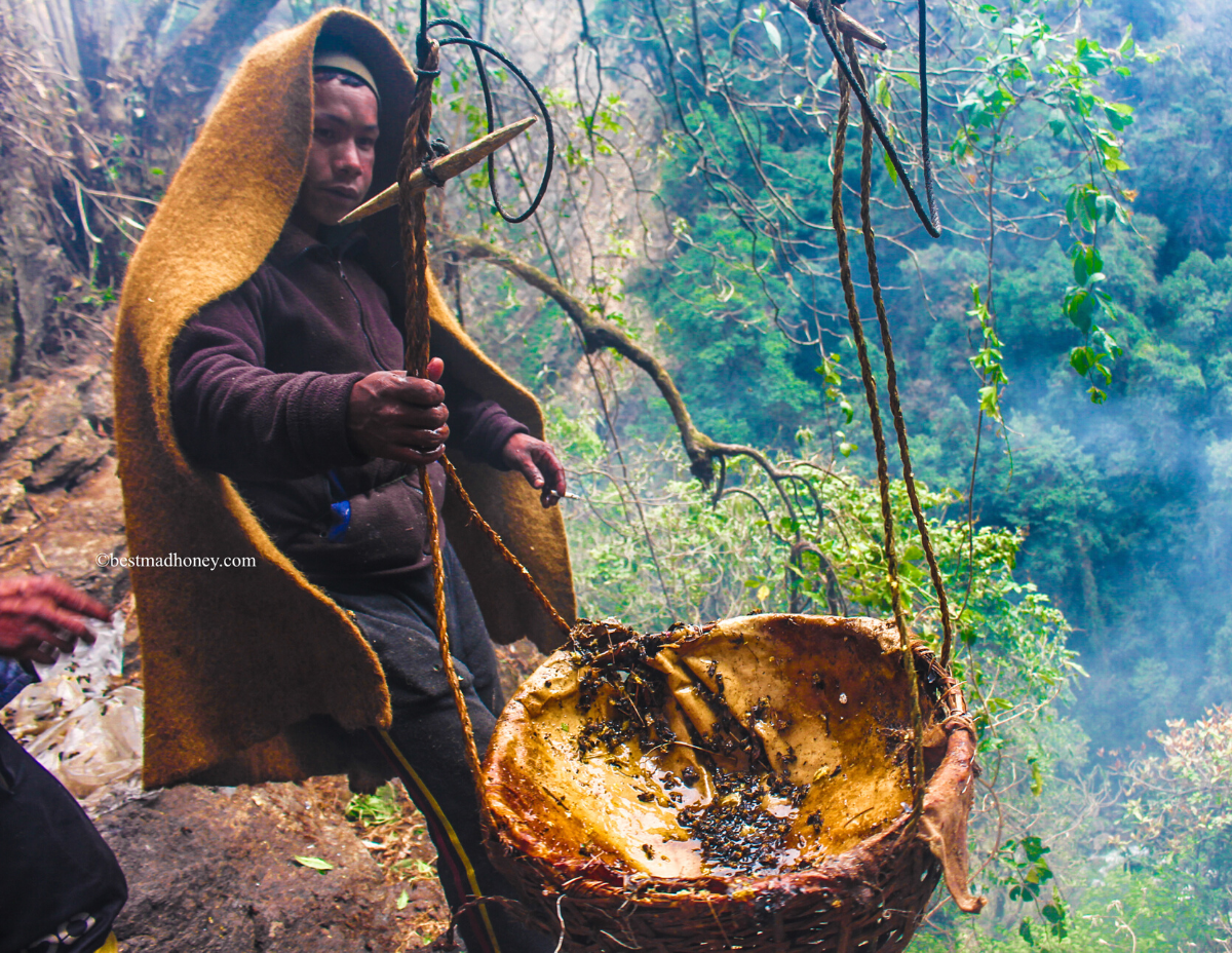 mật ong điên ảnh 5 mat ong dien anh 5