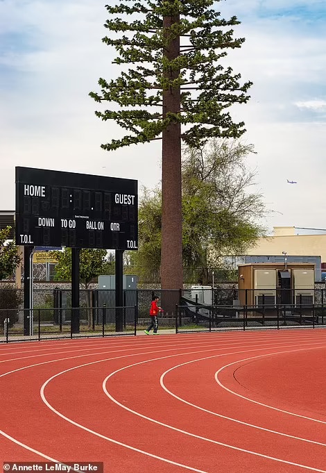 tram thu phat song di dong anh 9