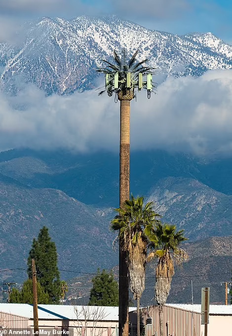 tram thu phat song di dong anh 8