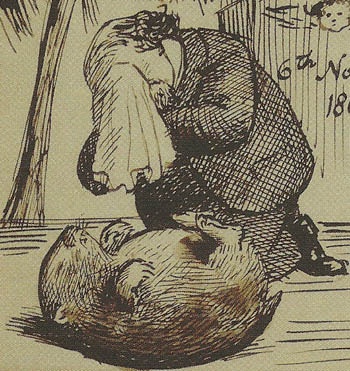 wombat là gì ảnh 7 wombat la gi anh 7