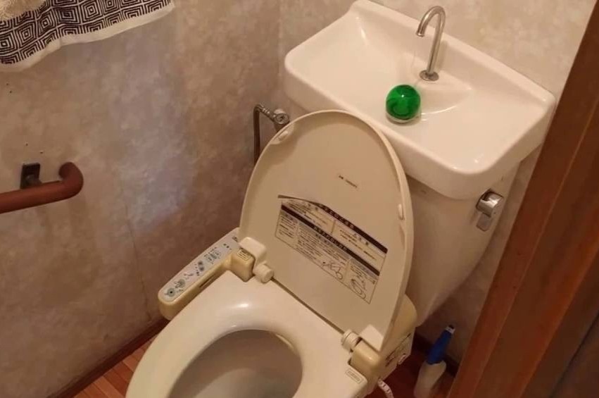 Vi sao bon cau o Nhat Ban lai co them voi rua tay? hinh anh