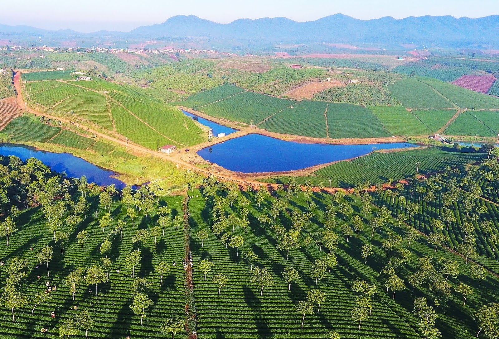 du lich lam dong anh 4