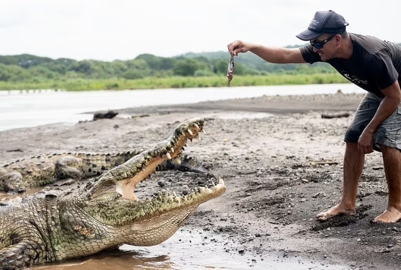 Tay khong cho ca sau an de mua vui cho du khach hinh anh