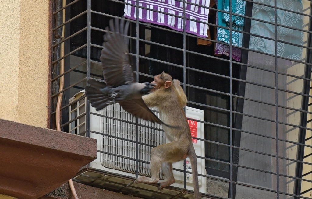 khi o vung tau anh 8