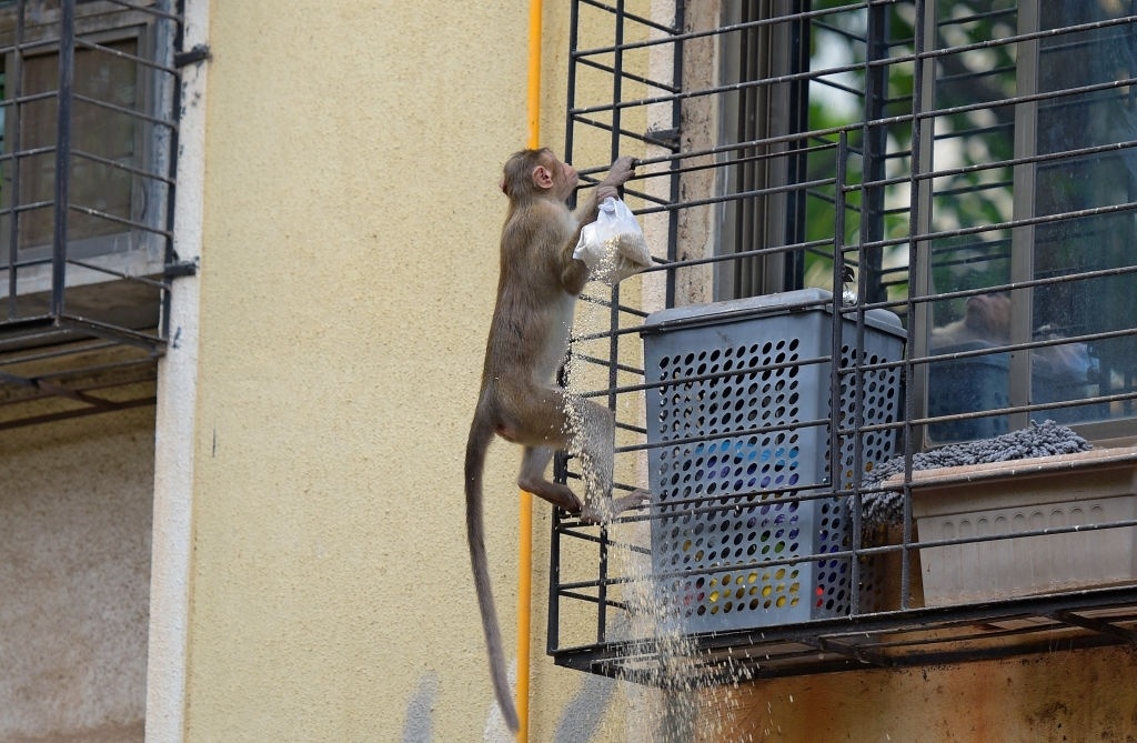 khi o vung tau anh 9