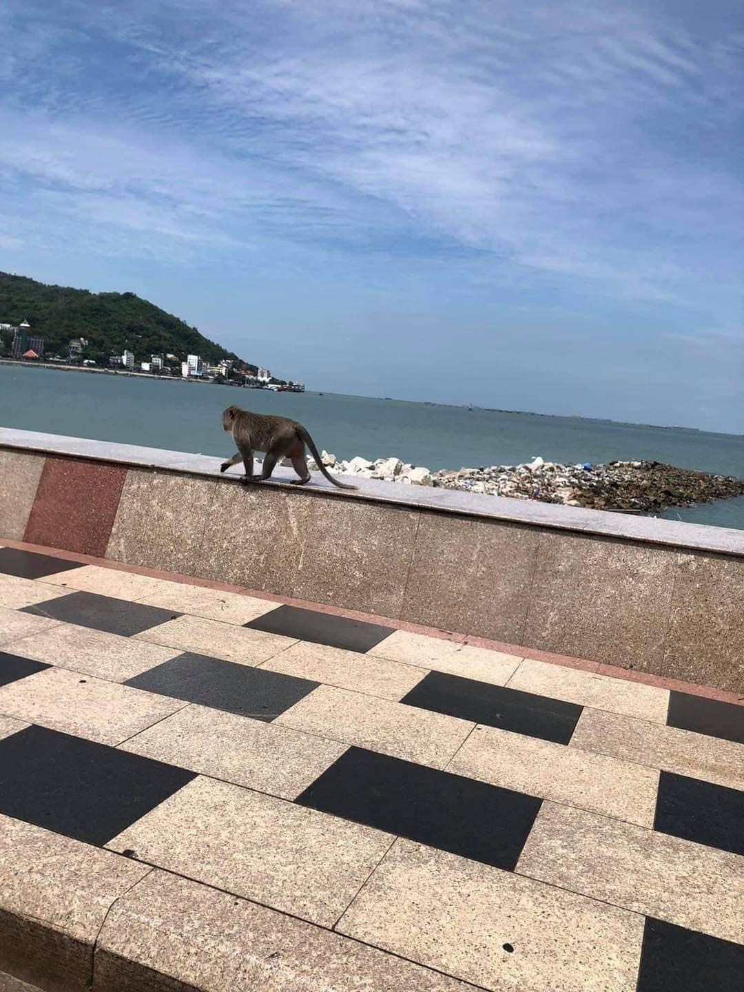 khi o vung tau anh 3