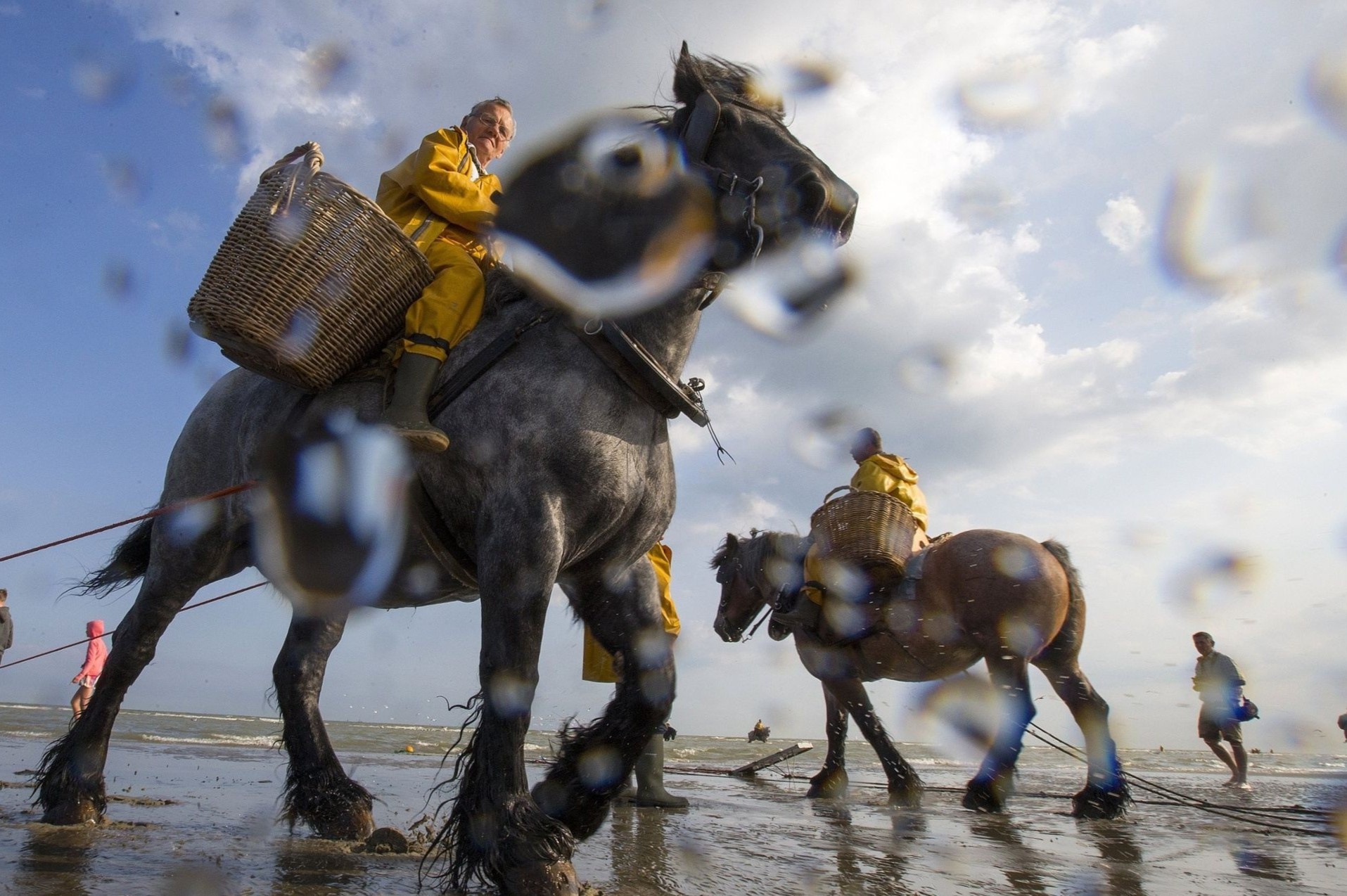 Nghe bat tom dang dan mai mot o Bi hinh anh