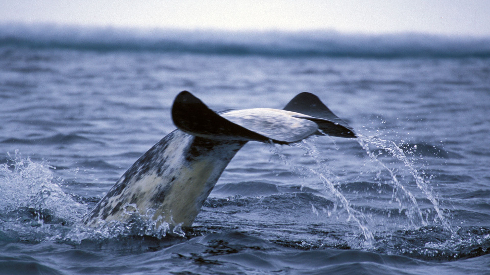 ky lan co that khong anh 7