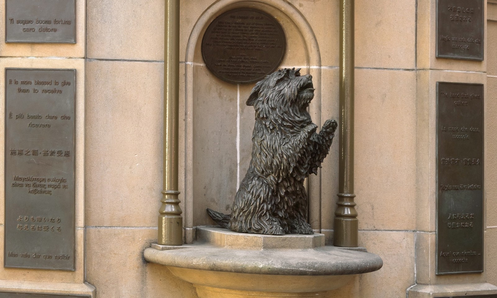 tượng chó hachiko ảnh 4 tuong cho hachiko anh 4