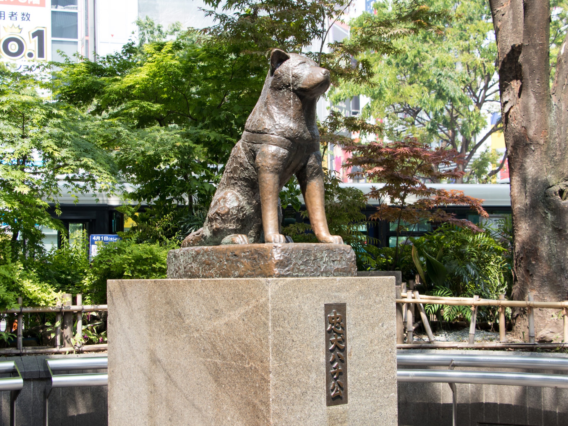 tượng chó hachiko ảnh 1 tuong cho hachiko anh 1