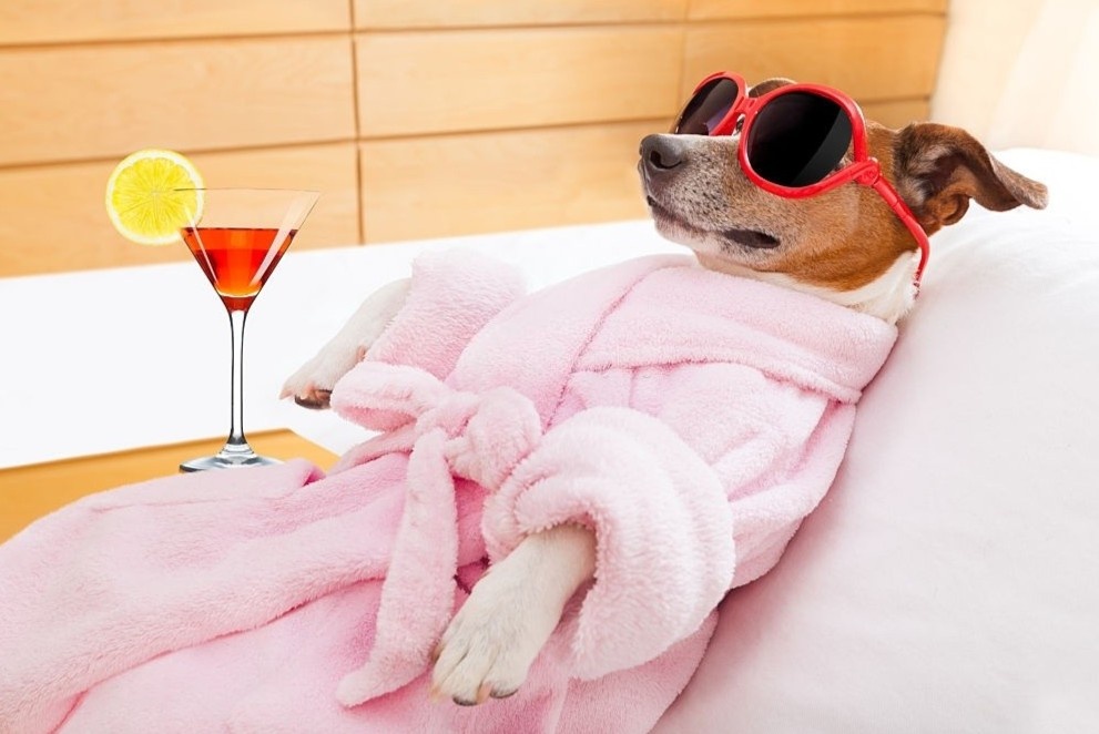 Noi ban cocktail cho ca cun cung va chu hinh anh