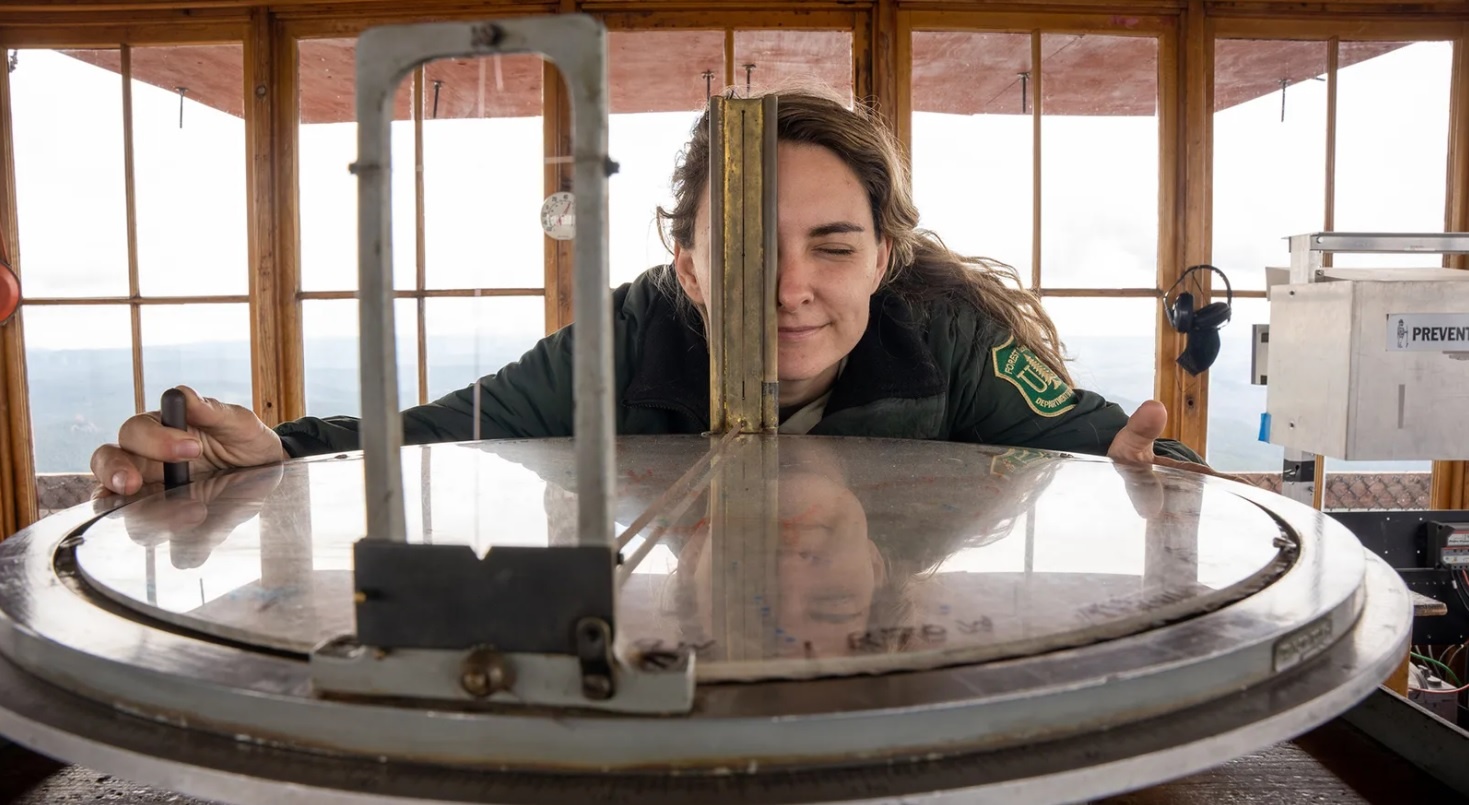 chay rung o my anh 3