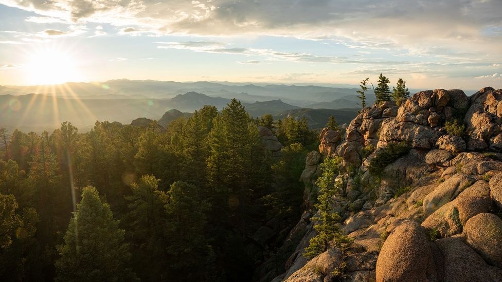 chay rung o my anh 1