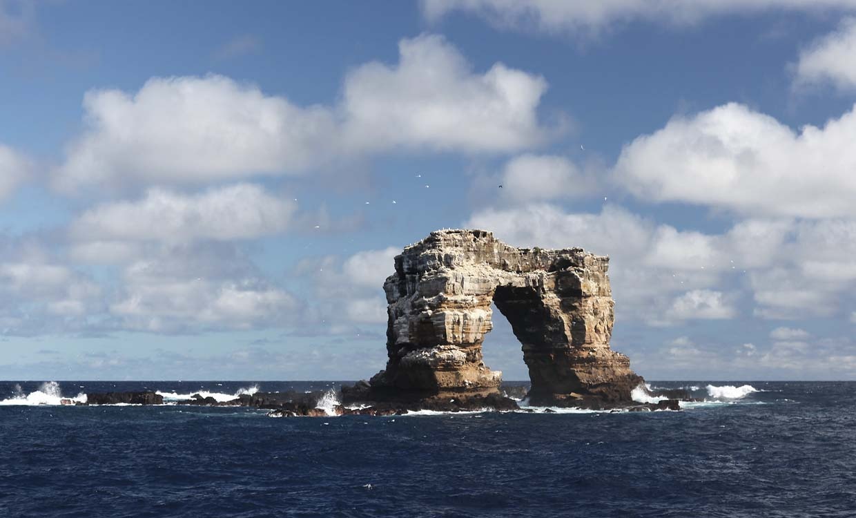 chim se ma ca rong anh 4