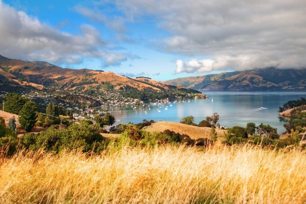 New Zealand lang man trong mat co gai Viet hinh anh