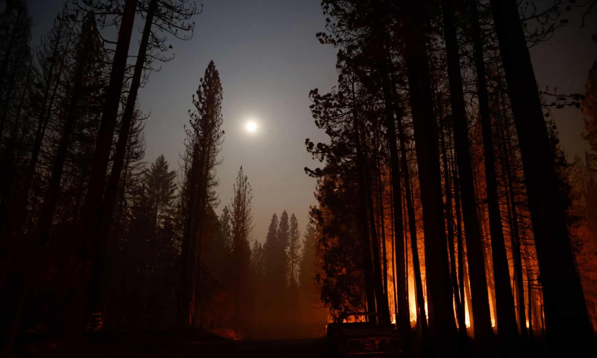 chay rung o my anh 5