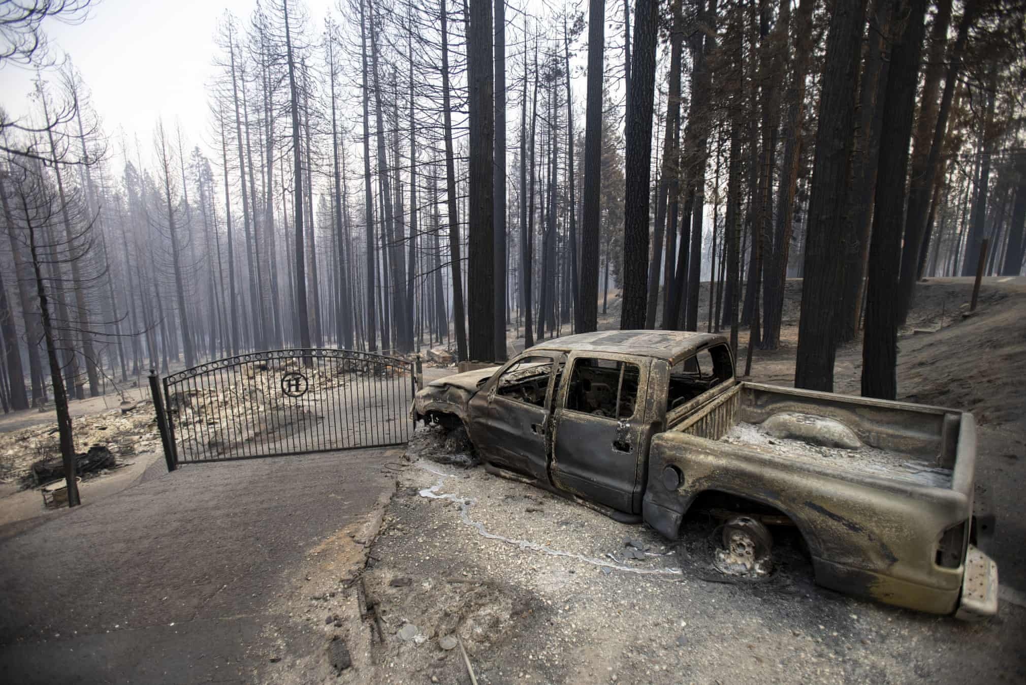 chay rung o my anh 3