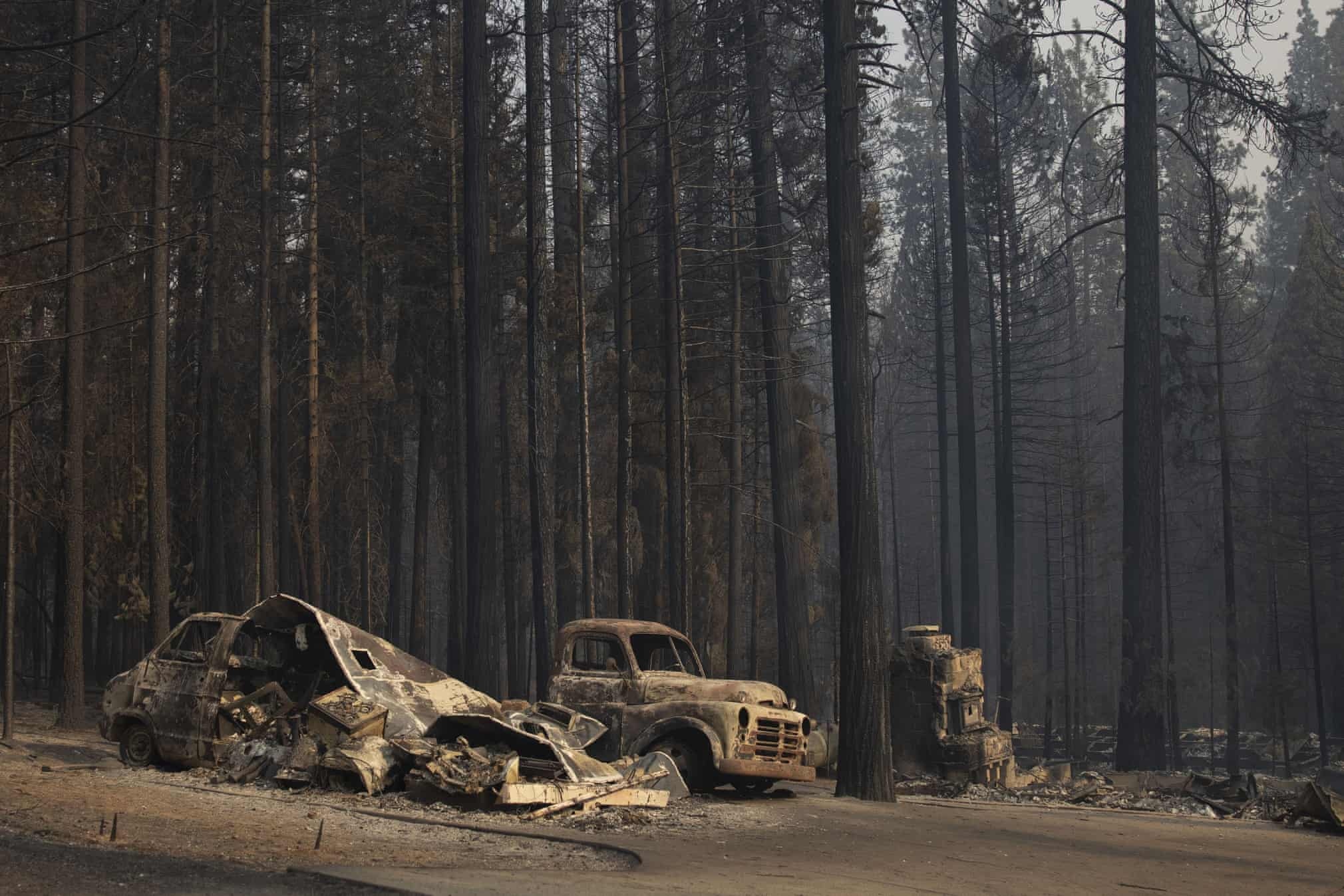 chay rung o my anh 10