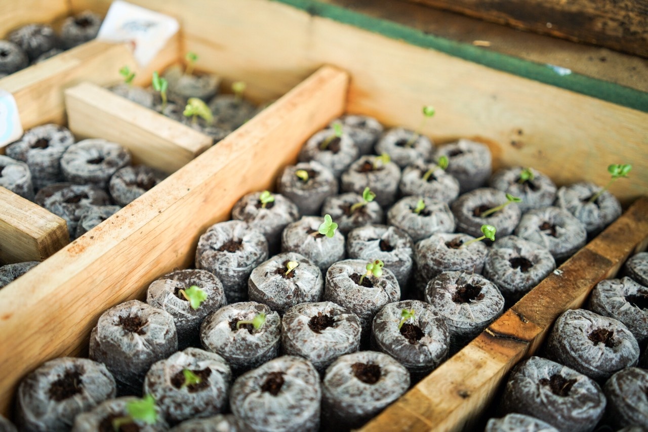 gian cach o tp.hcm anh 8