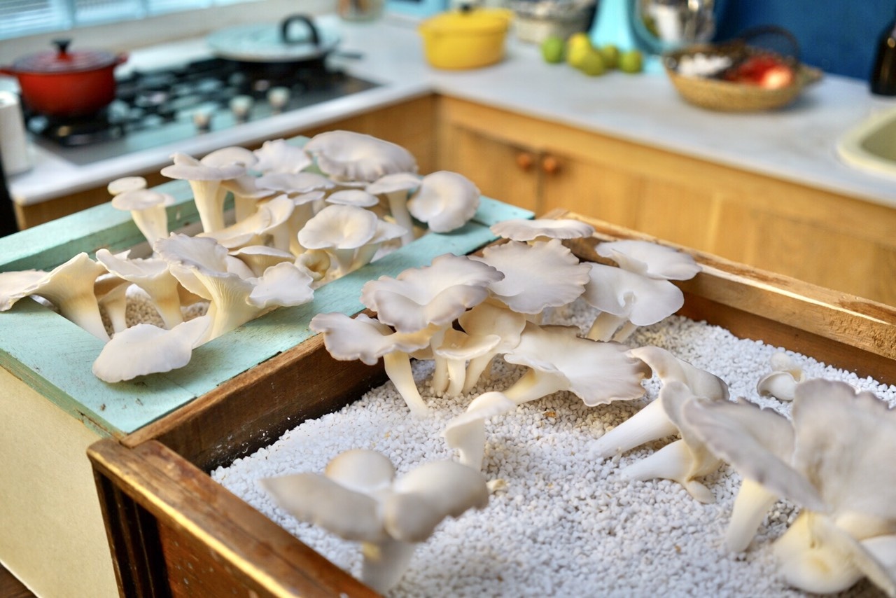 gian cach o tp.hcm anh 6