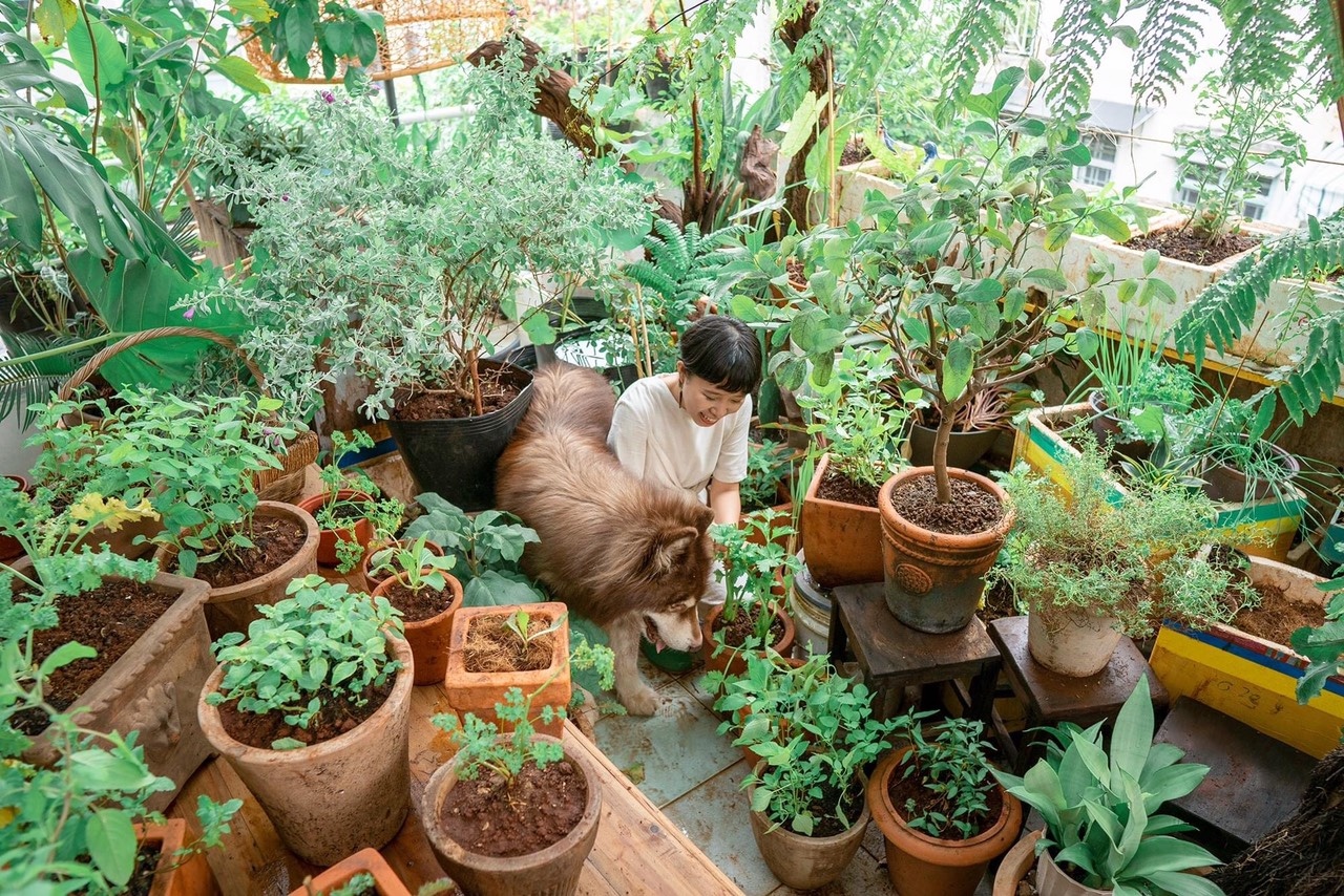 gian cach o tp.hcm anh 5