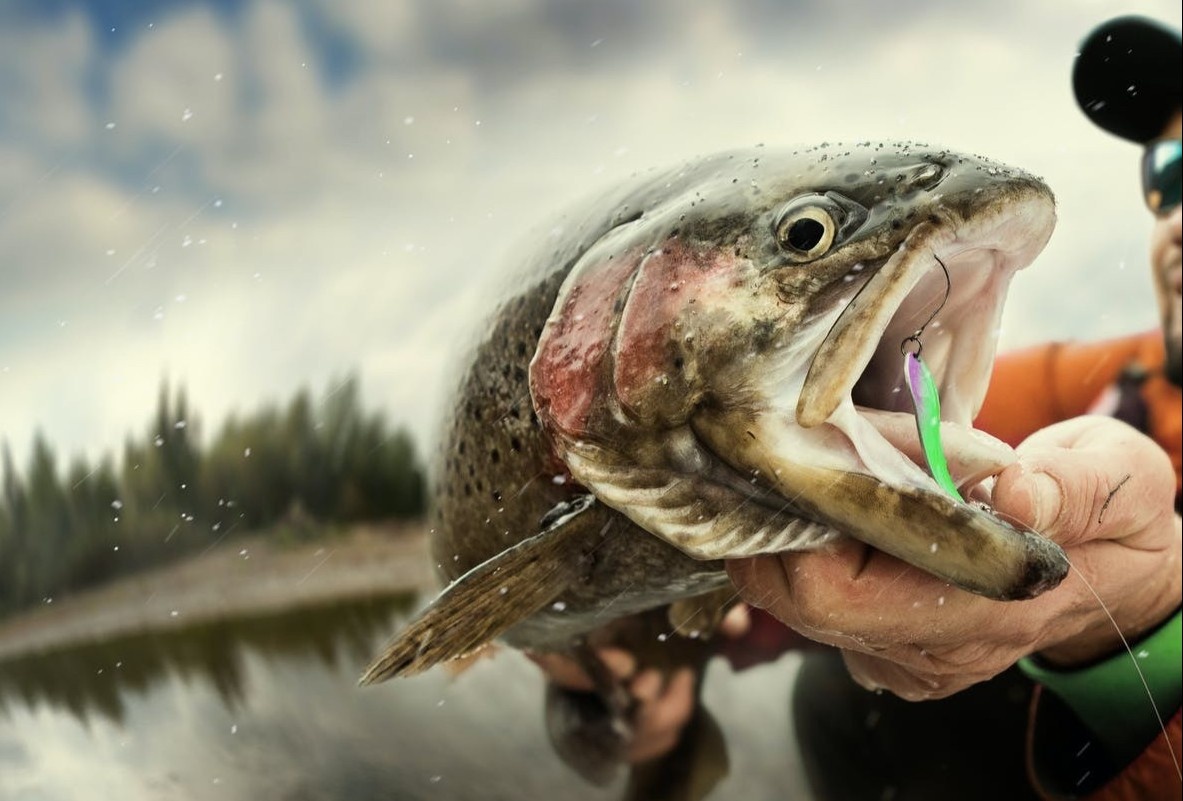 Nghe thuat cau ca bang ruoi o Thuy Dien hinh anh