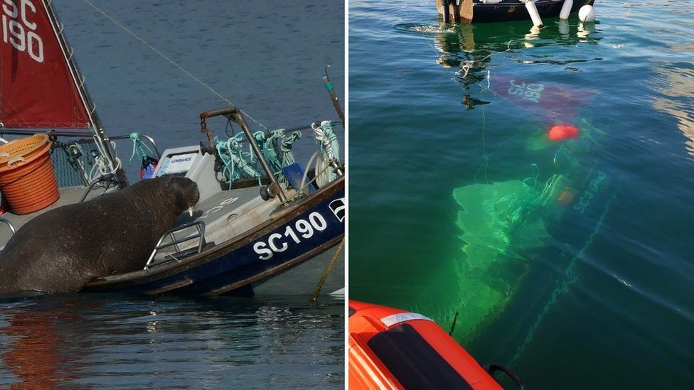 hai ma ngu quen tren bang anh 3