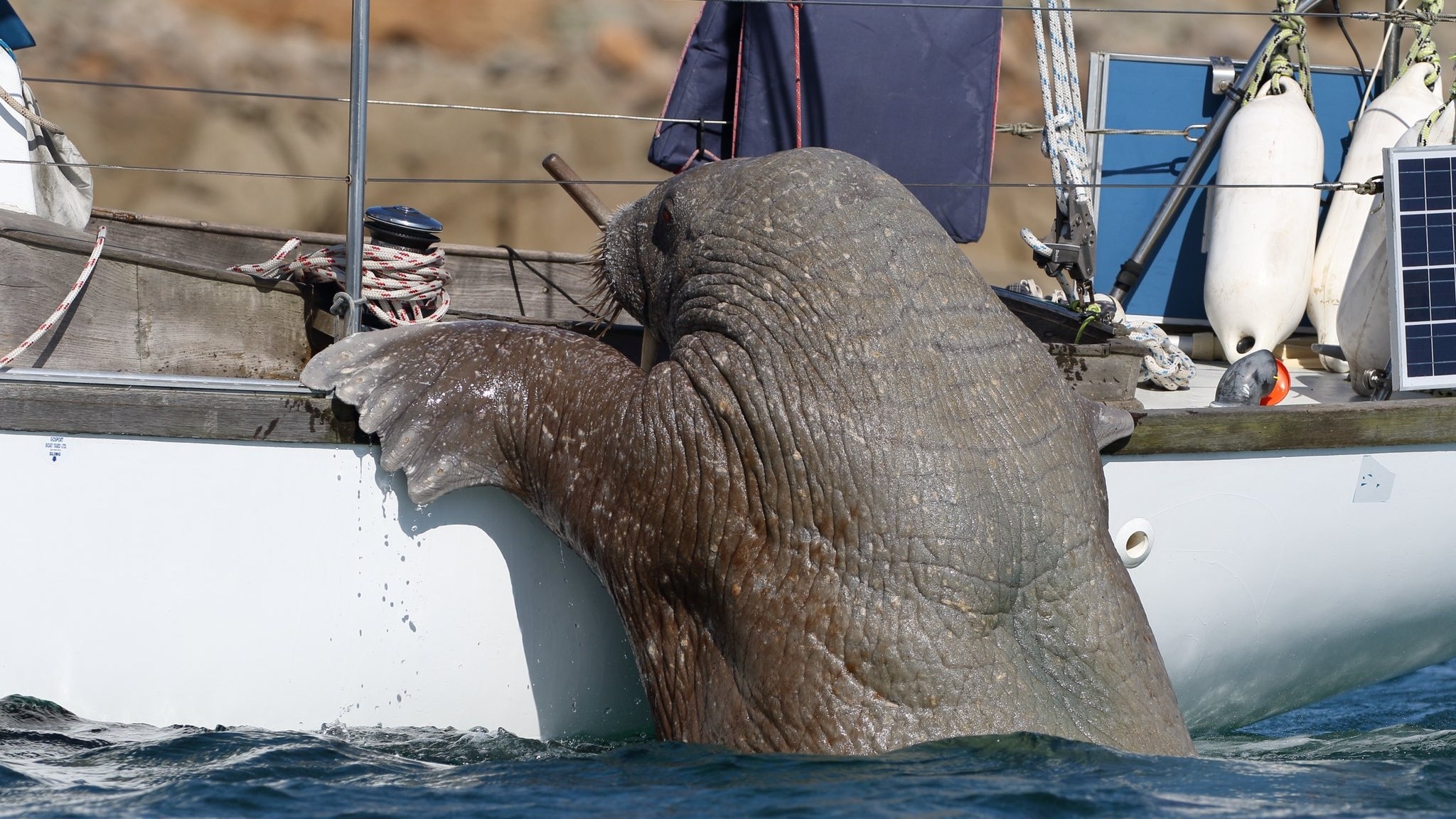 hai ma ngu quen tren bang anh 4
