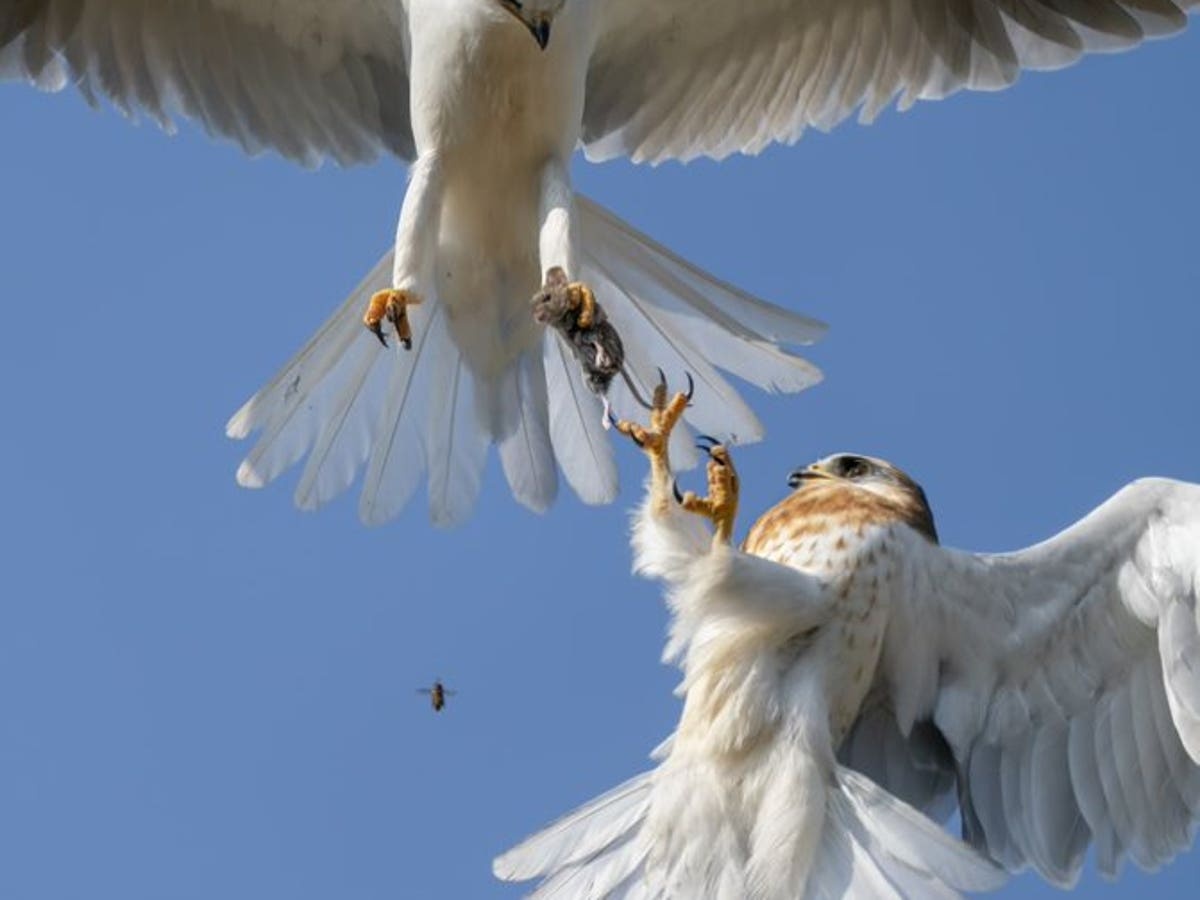 anh thien nhien anh 3