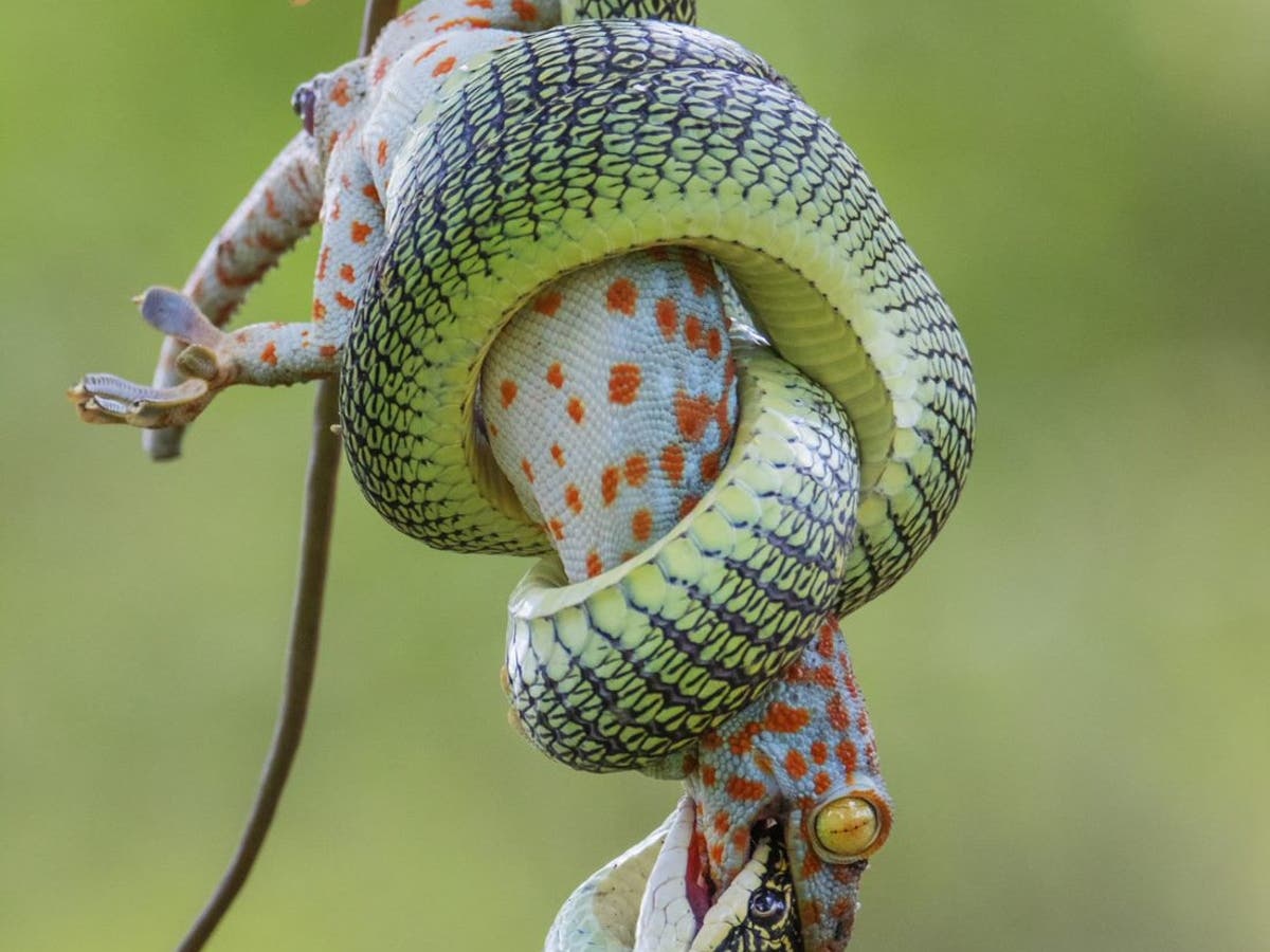 anh thien nhien anh 2