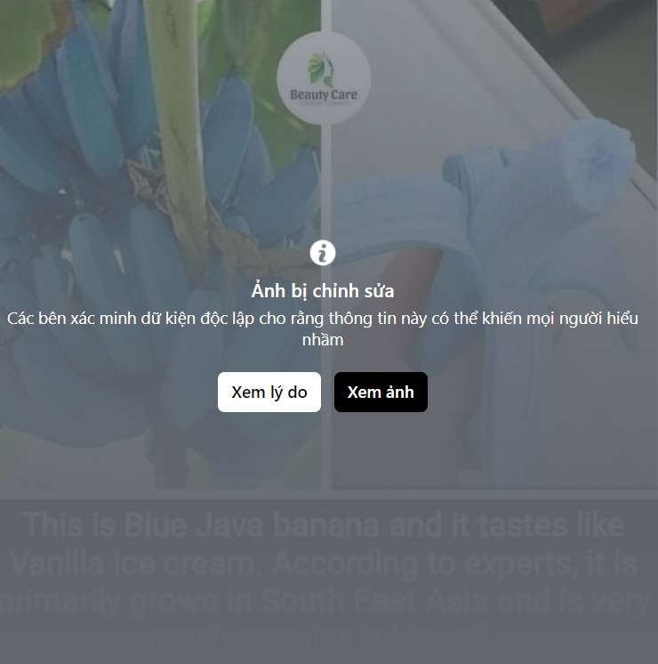 chuoi mau xanh anh 2