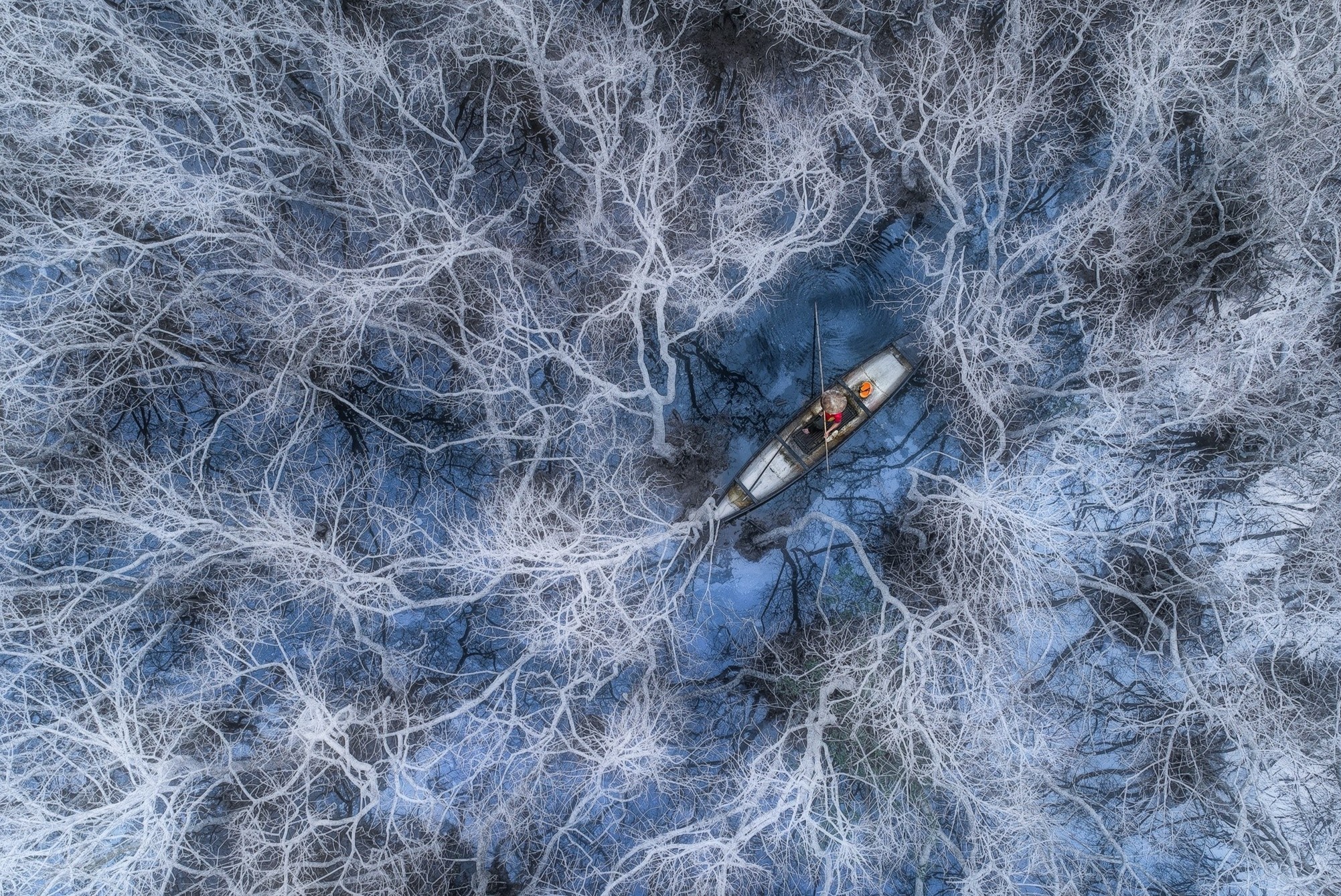 Nguoi dung sau buc anh chup Pha Tam Giang gianh giai nhat quoc te hinh anh