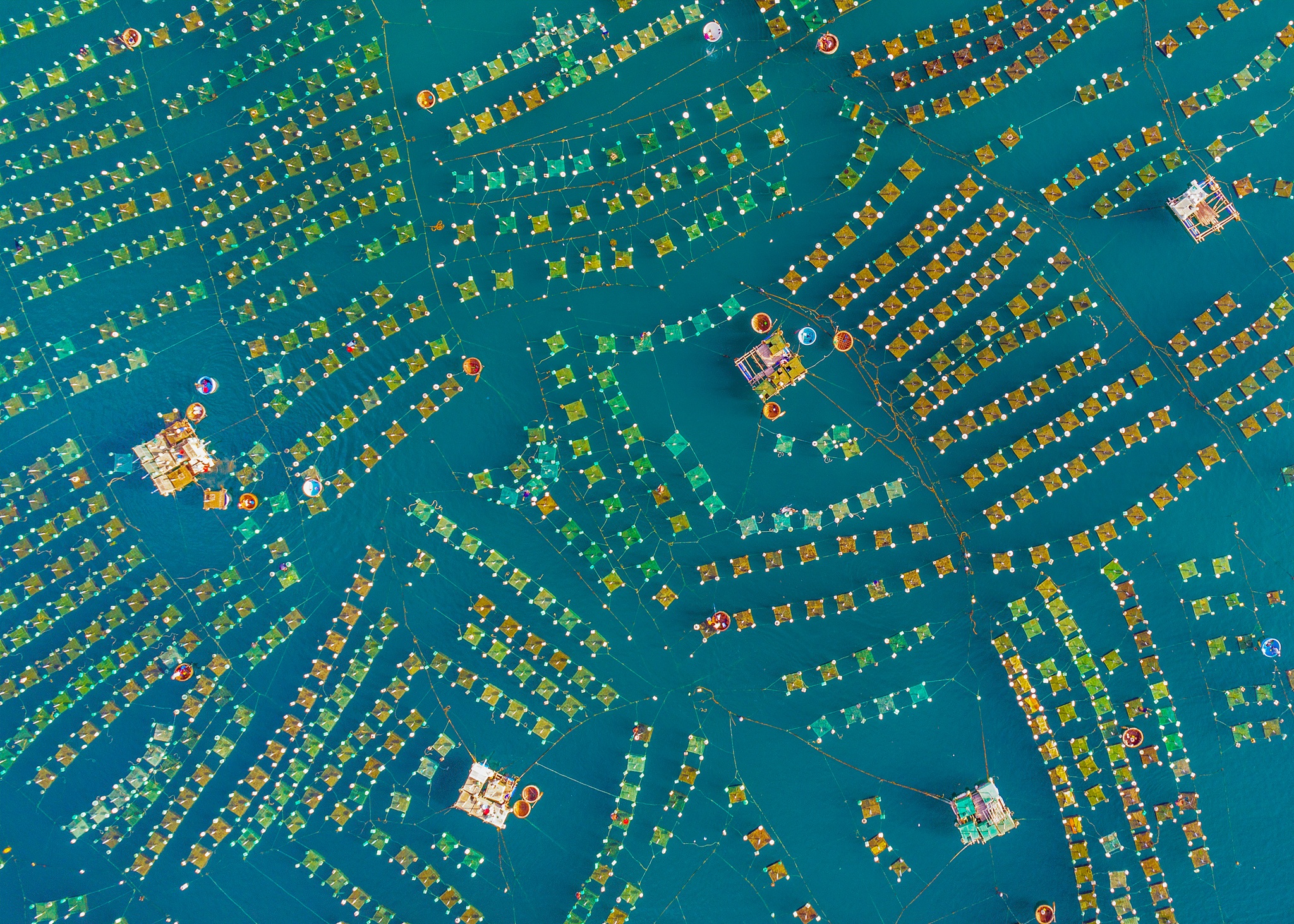 anh dep viet nam anh 8