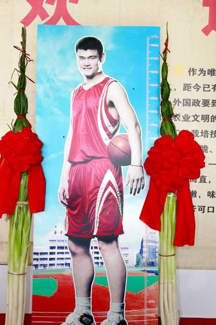hành lá cao nhất ảnh 5 hanh la cao nhat anh 5