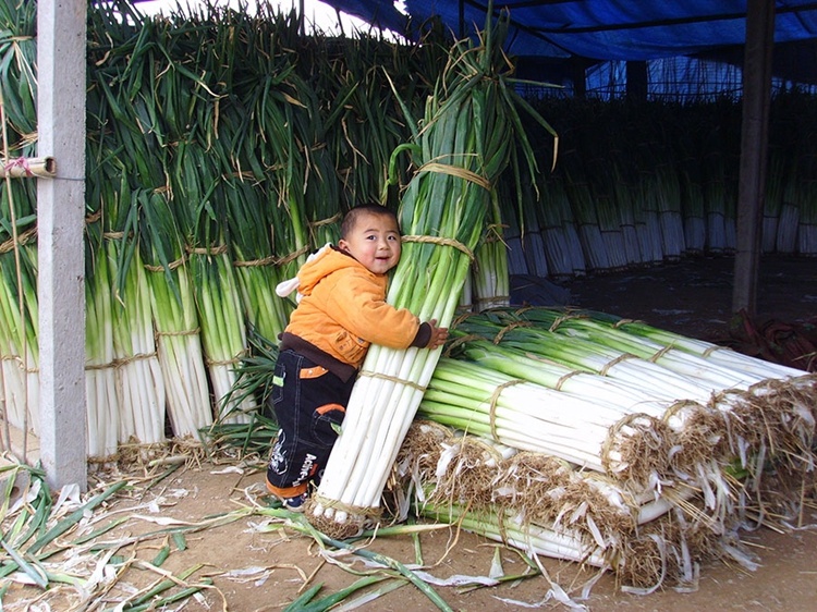 hành lá cao nhất ảnh 4 hanh la cao nhat anh 4