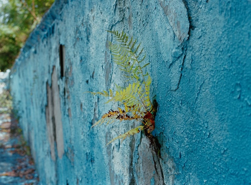 resort bo hoang anh 13