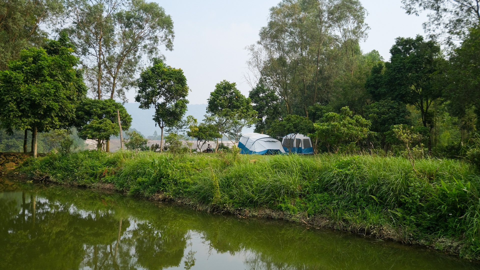 cam trai trong ngay anh 14