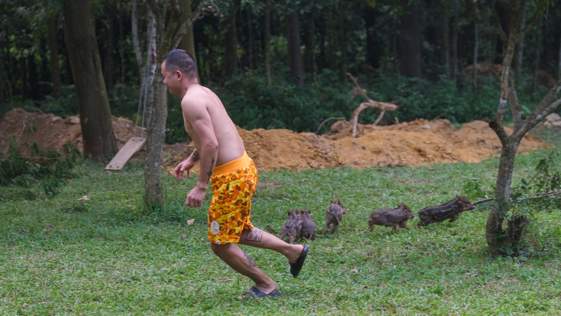 cam trai trong ngay anh 13