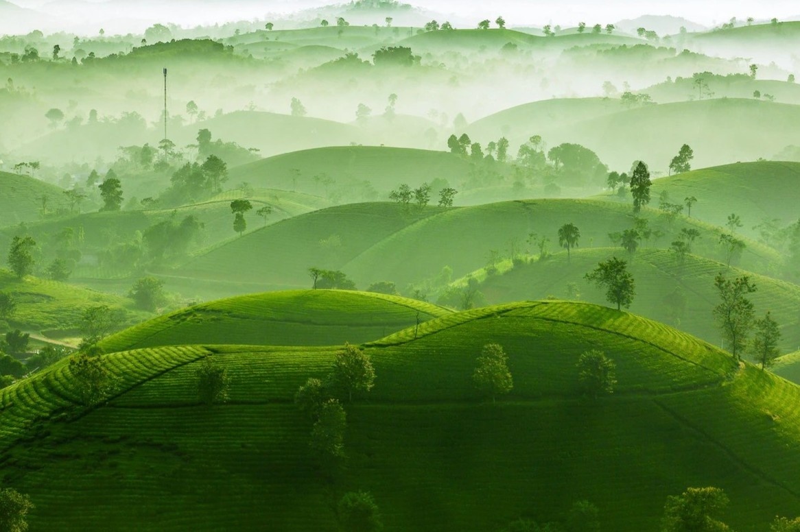 Nhiep anh gia Viet thang giai Bac quoc te hinh anh