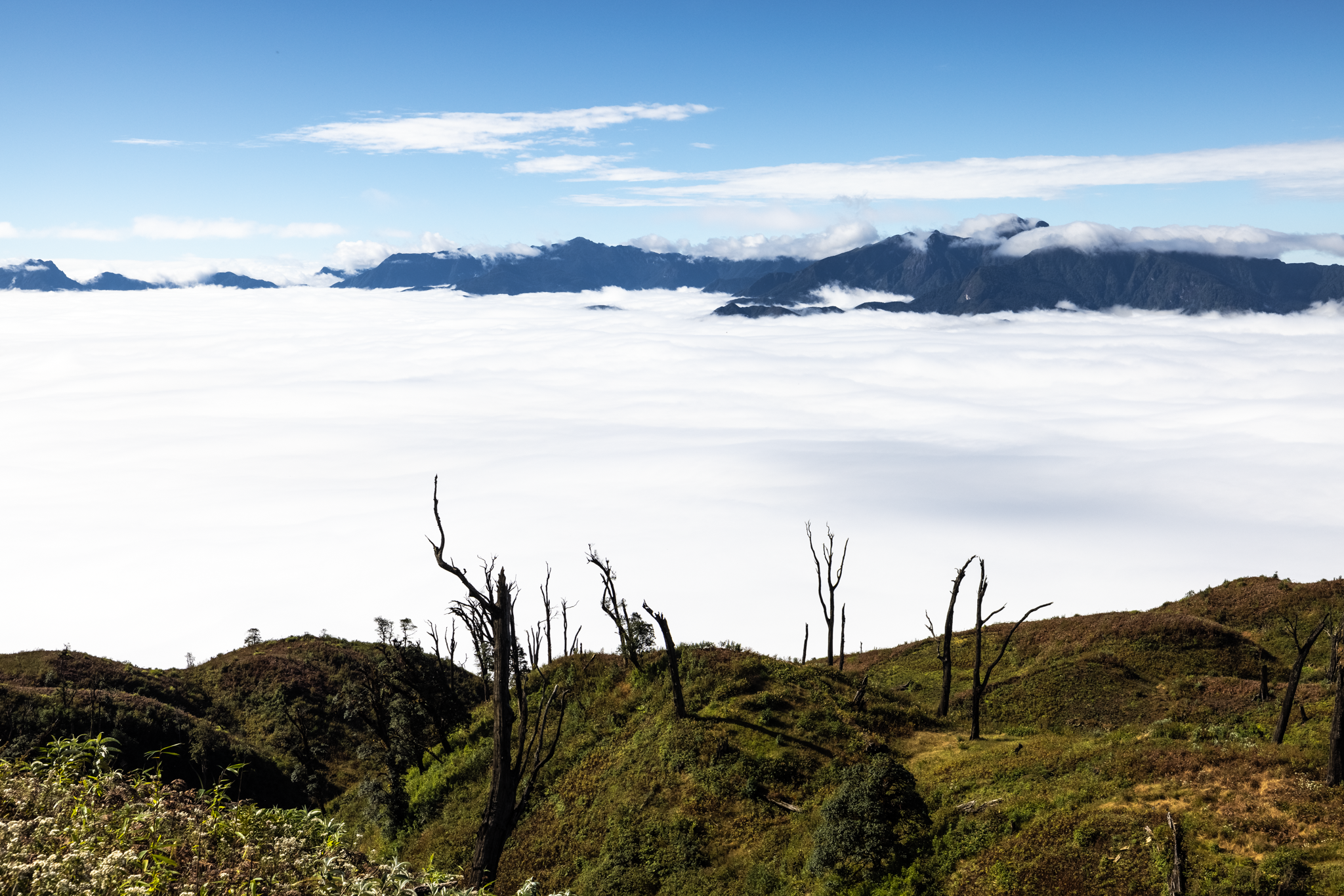 san may o lao than anh 12