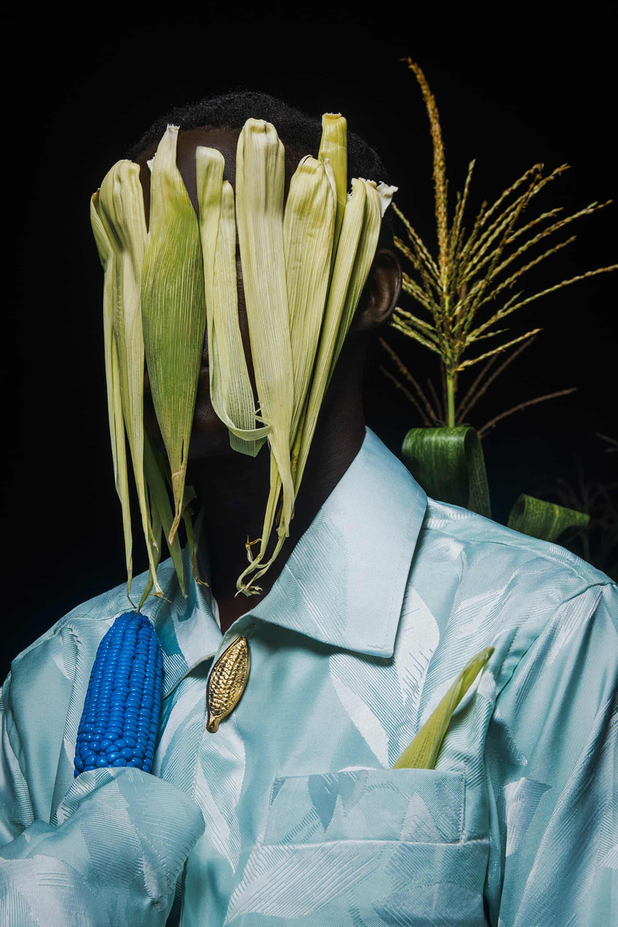 bo toc chau phi anh 4