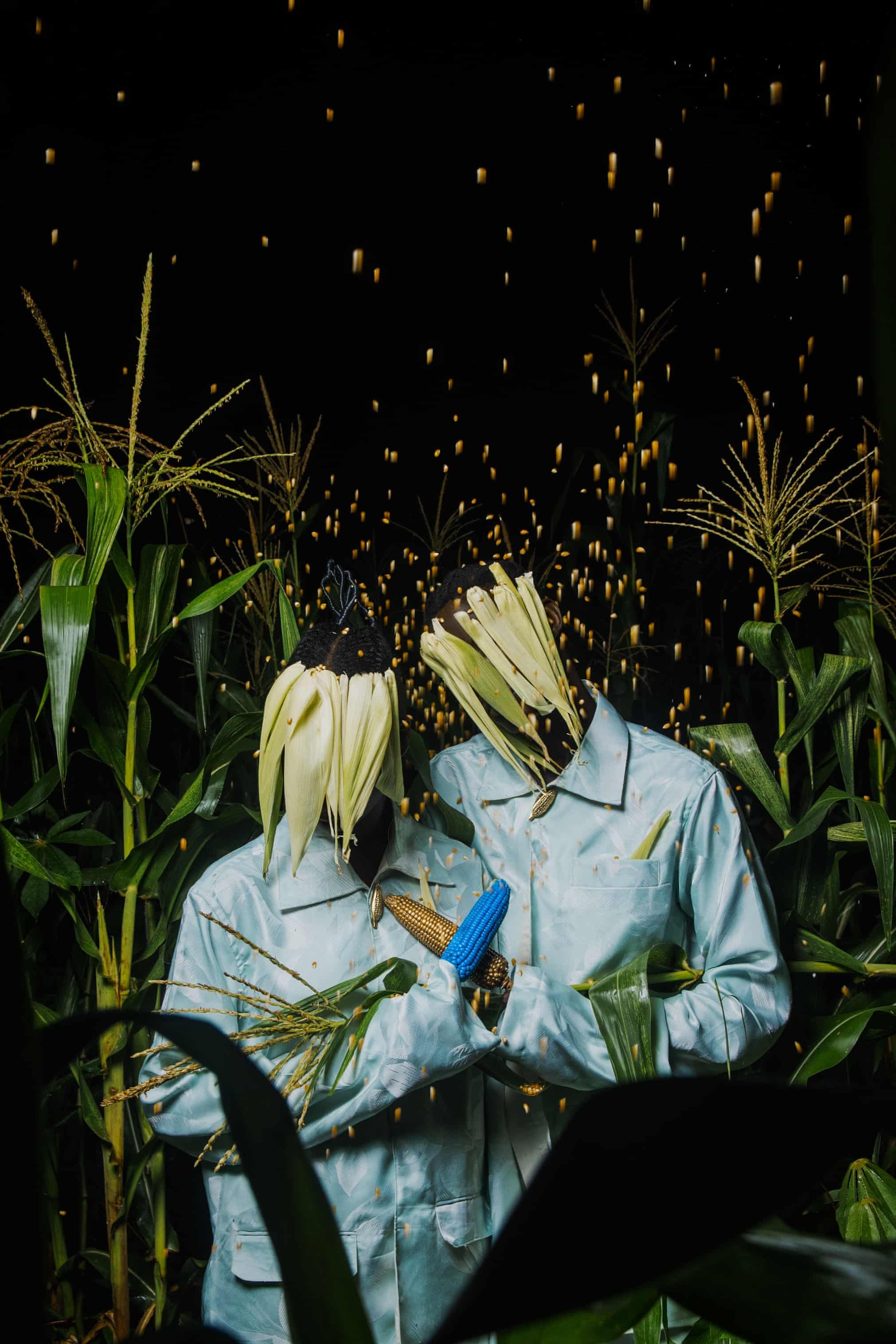 bo toc chau phi anh 3