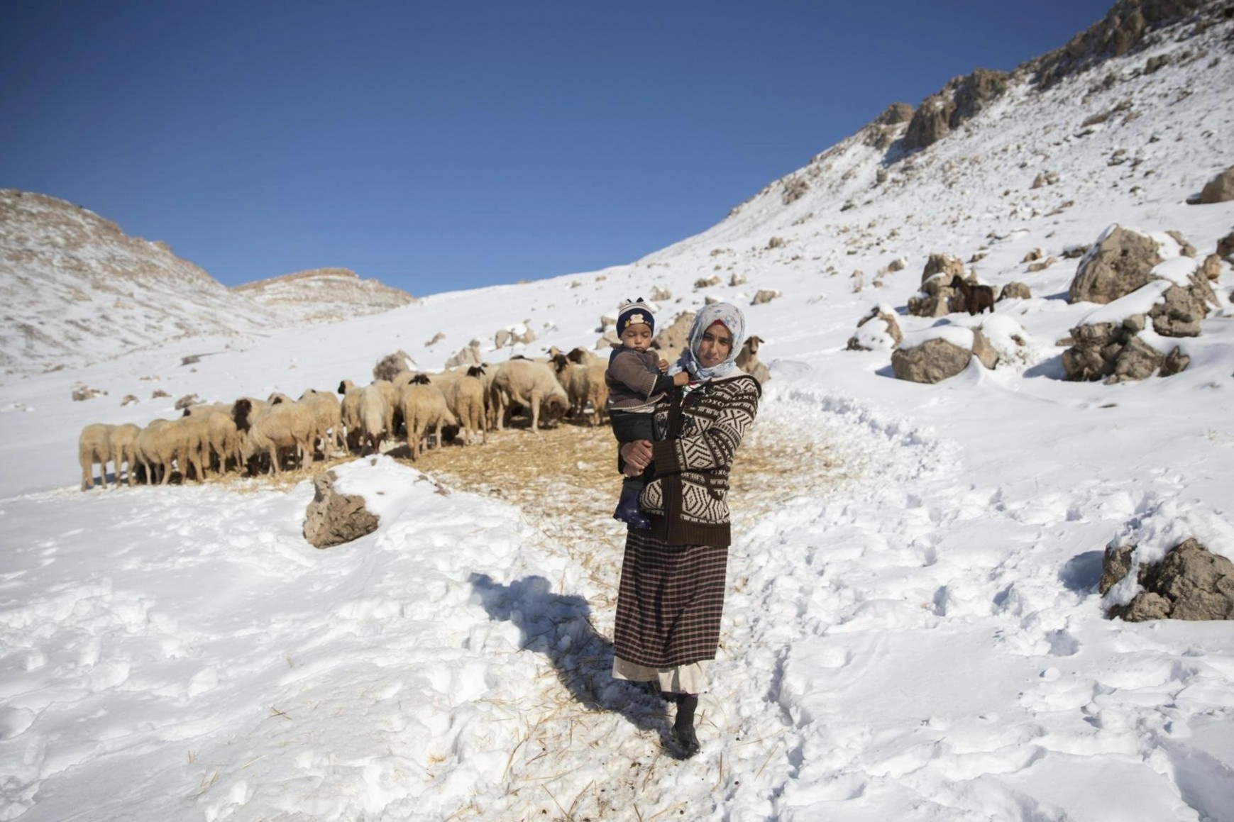Ngoi lang bi co lap khi mua dong toi hinh anh