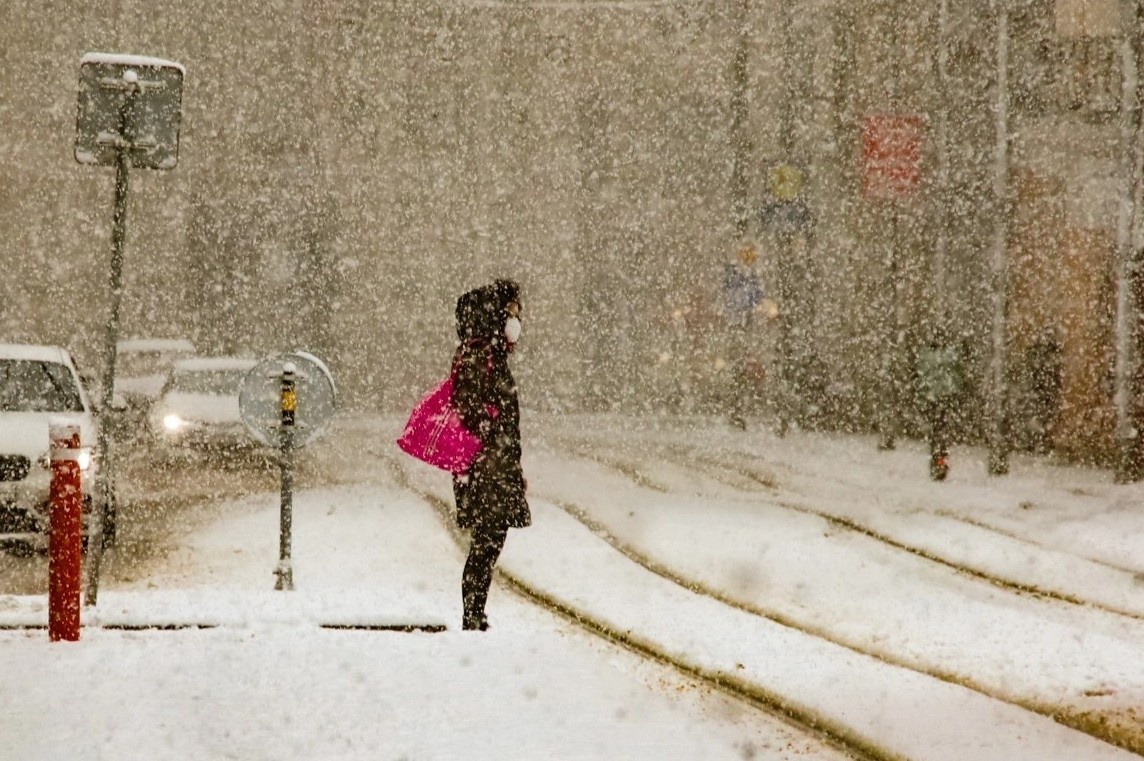 Nhung ngay buot gia o Dong Au trong mat dau bep Viet hinh anh