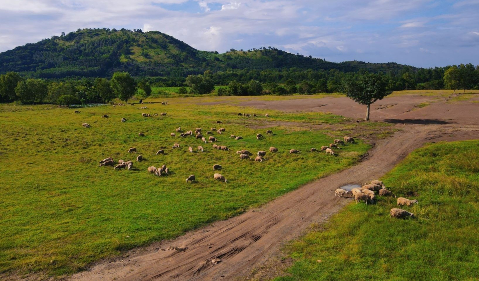 cam trai quanh sai gon anh 9