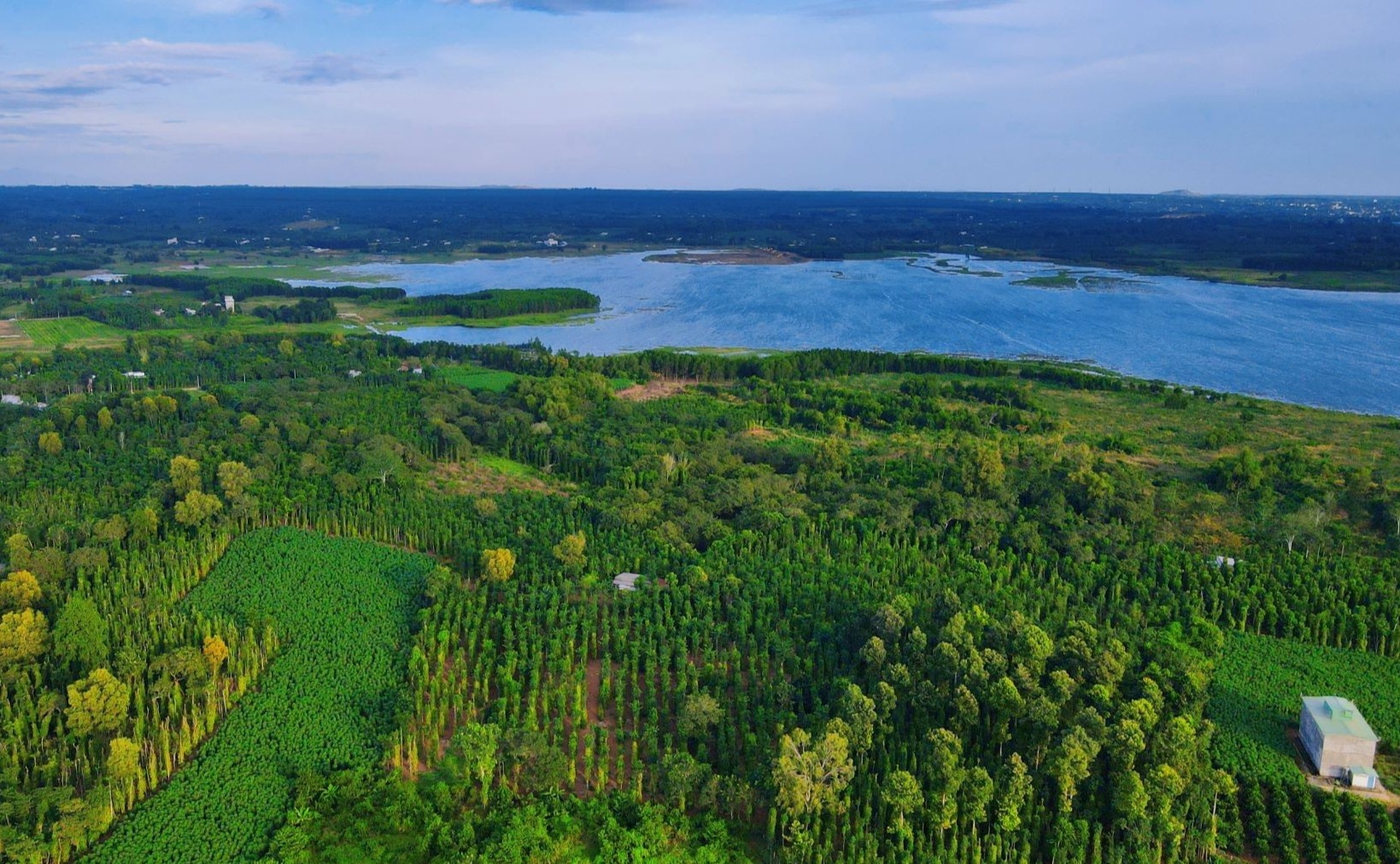 cam trai quanh sai gon anh 8