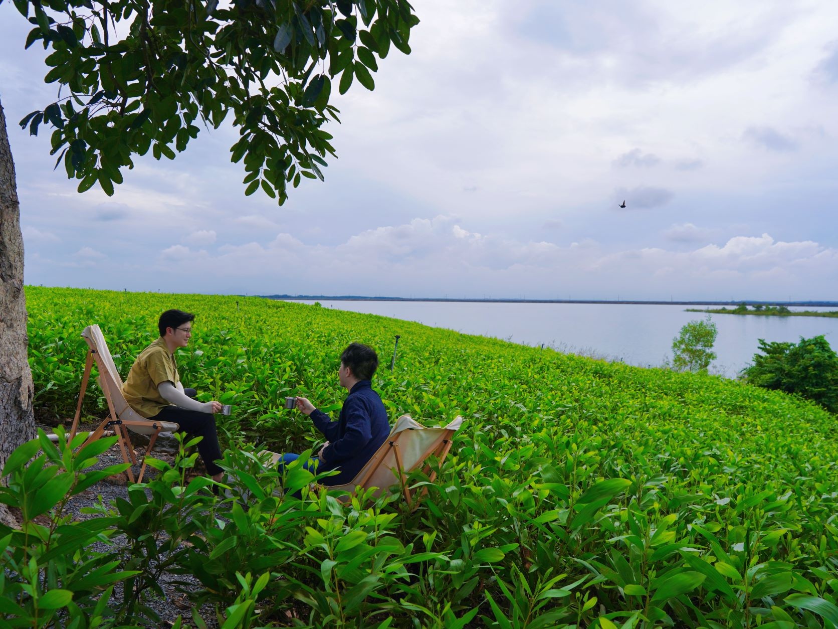 cam trai quanh sai gon anh 6