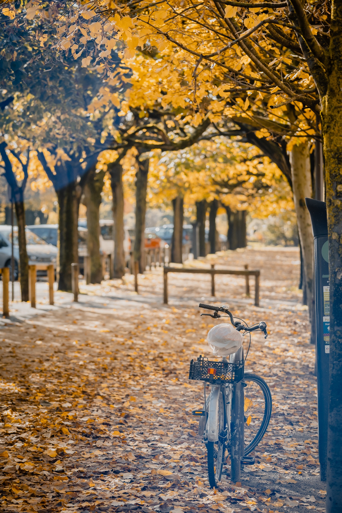 du lich chau au anh 14