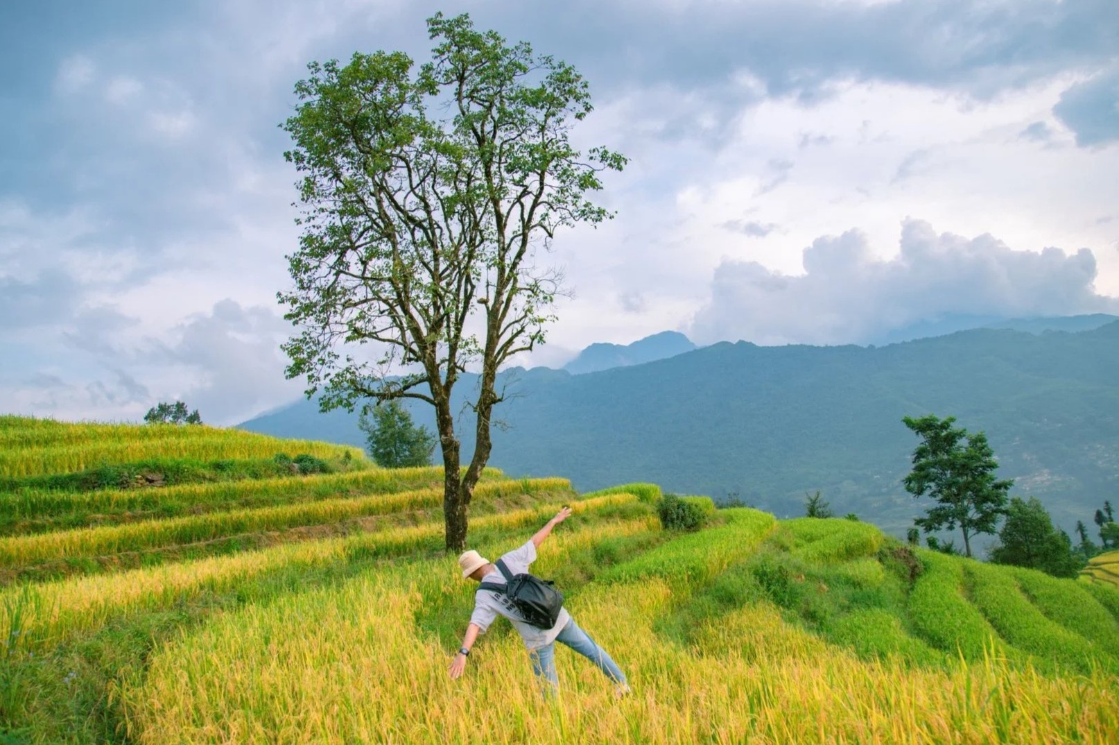 Nam nay, toi chon di choi dip Tet hinh anh